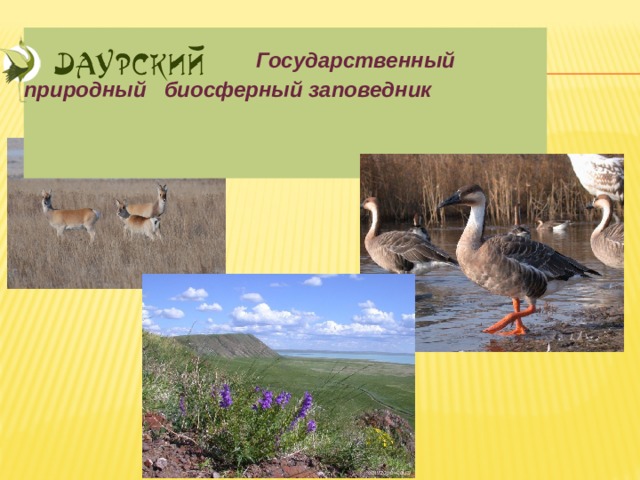                    Государственный природный биосферный заповедник   