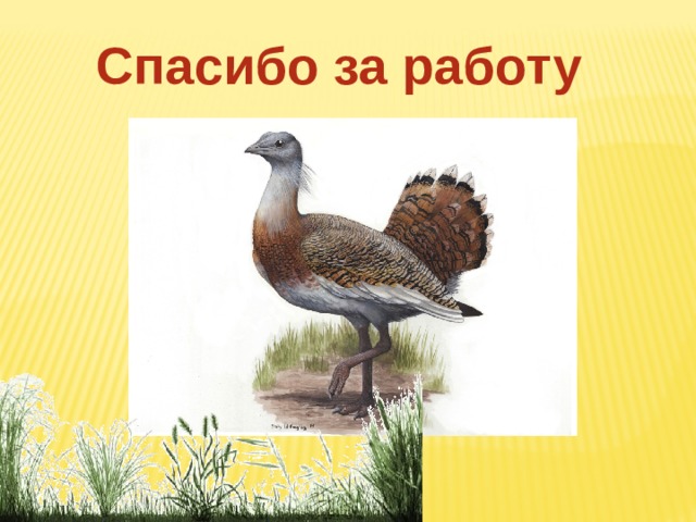 Спасибо за работу 