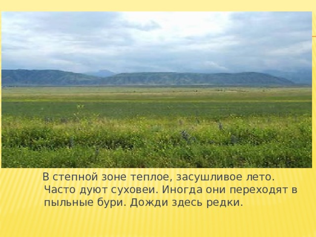 В степной зоне теплое, засушливое лето. Часто дуют суховеи. Иногда они переходят в пыльные бури. Дожди здесь редки. 