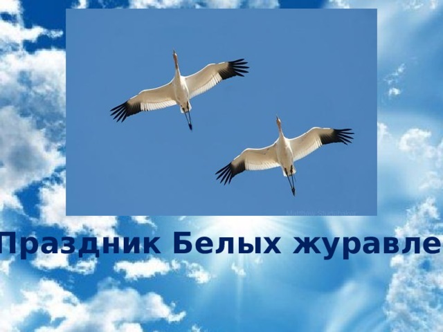 Праздник Белых журавлей  