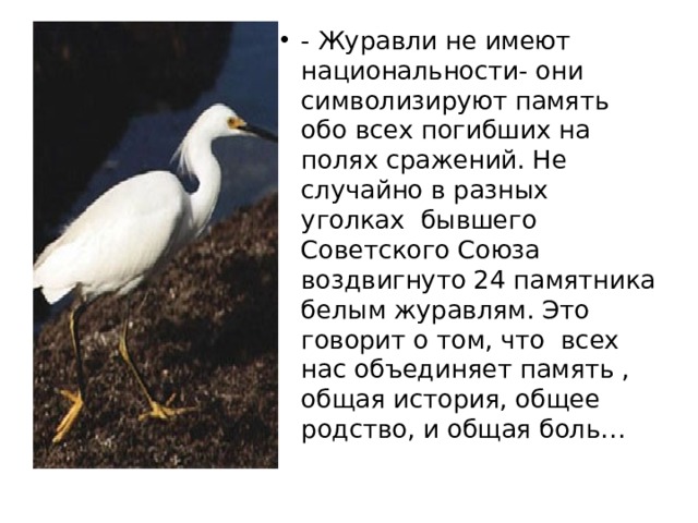 - Журавли не имеют национальности- они символизируют память обо всех погибших на полях сражений. Не случайно в разных уголках бывшего Советского Союза воздвигнуто 24 памятника белым журавлям. Это говорит о том, что всех нас объединяет память , общая история, общее родство, и общая боль… 