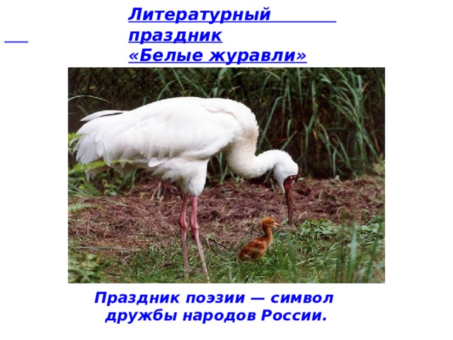     Литературный праздник « Белые журавли » 22 октября        Праздник поэзии — символ  дружбы народов России. 
