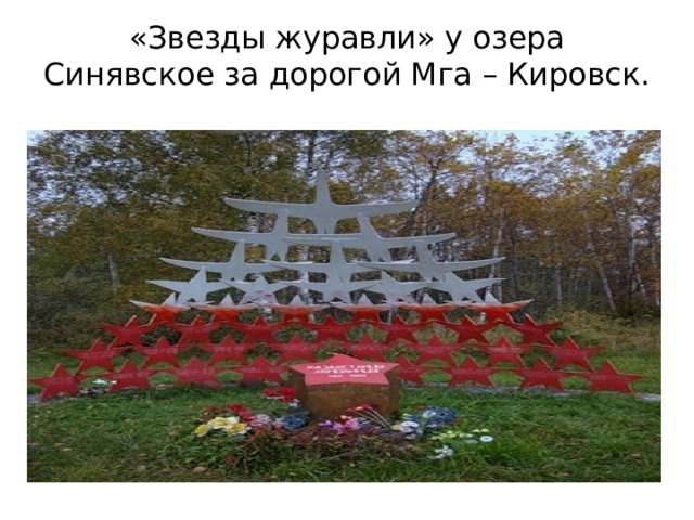 «Звезды журавли» у озера Синявское за дорогой Мга – Кировск. 