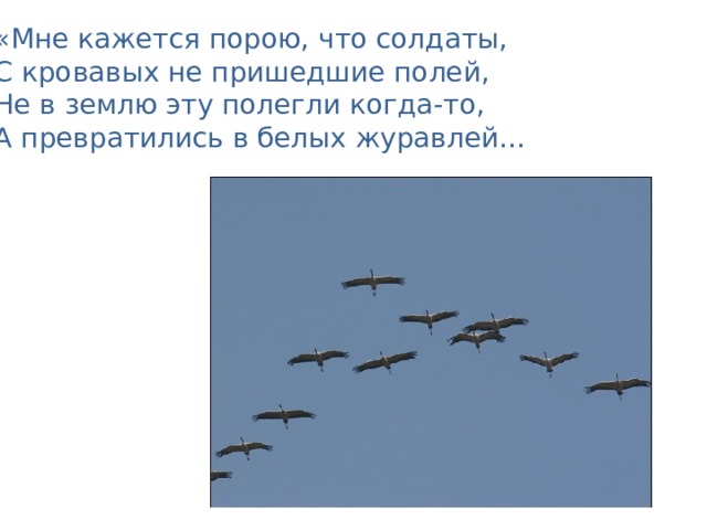 «Мне кажется порою, что солдаты,  С кровавых не пришедшие полей,  Не в землю эту полегли когда-то,  А превратились в белых журавлей… 