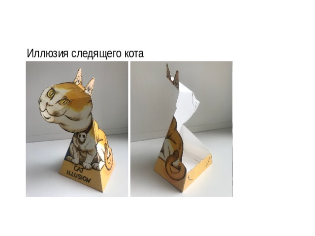 Иллюзия следящего кота 
