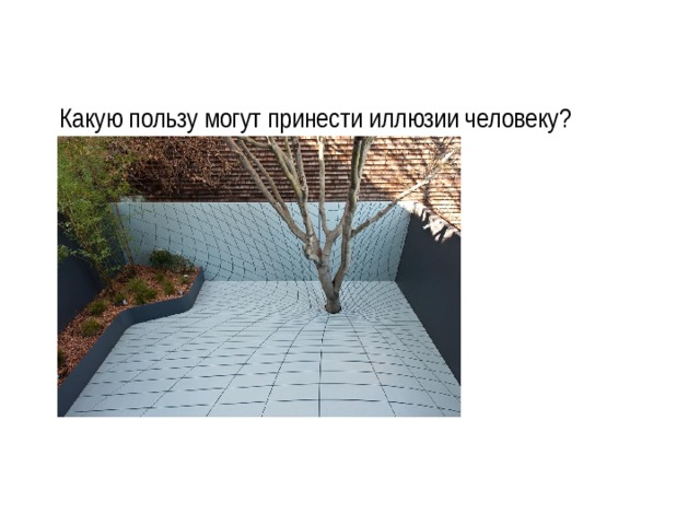 Какую пользу могут принести иллюзии человеку? 