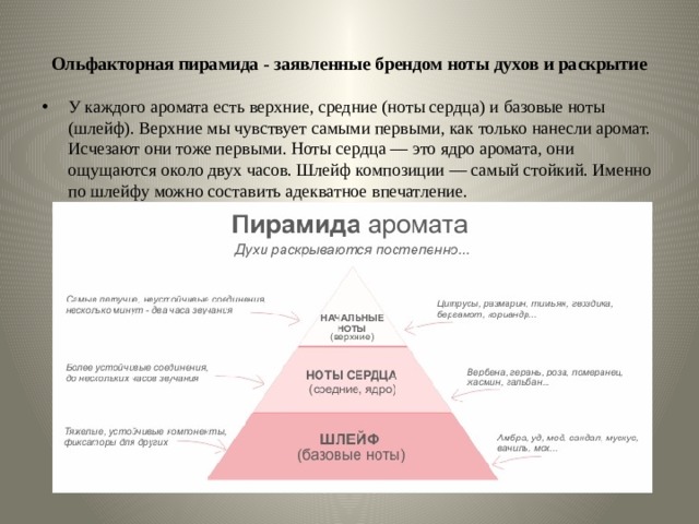 Ольфакторная пирамида - заявленные брендом ноты духов и раскрытие   У каждого аромата есть верхние, средние (ноты сердца) и базовые ноты (шлейф). Верхние мы чувствует самыми первыми, как только нанесли аромат. Исчезают они тоже первыми. Ноты сердца — это ядро аромата, они ощущаются около двух часов. Шлейф композиции — самый стойкий. Именно по шлейфу можно составить адекватное впечатление. 