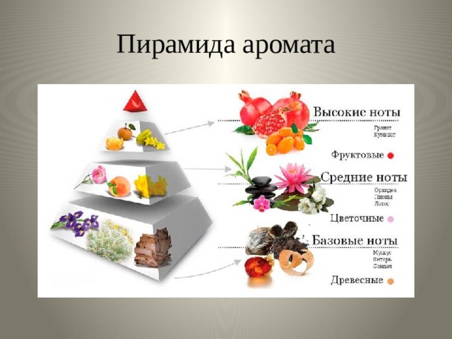 Пирамида аромата 
