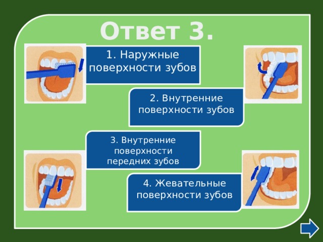 Ответ 3. 1. Наружные поверхности зубов 2. Внутренние поверхности зубов 3. Внутренние поверхности передних зубов 4. Жевательные поверхности зубов 