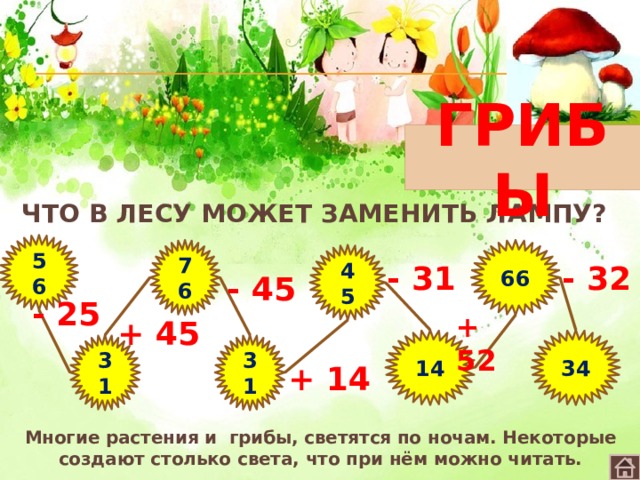 ГРИБЫ Что в лесу может заменить лампу? 56 76 66 45 - 31 - 32 - 45 - 25 + 52 + 45 34 14 31 31 + 14 Многие растения и грибы, светятся по ночам. Некоторые создают столько света, что при нём можно читать. 