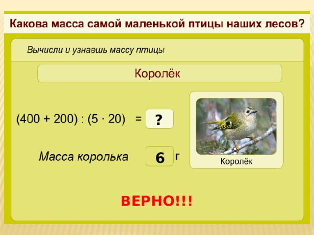 ? 6 ВЕРНО!!!  