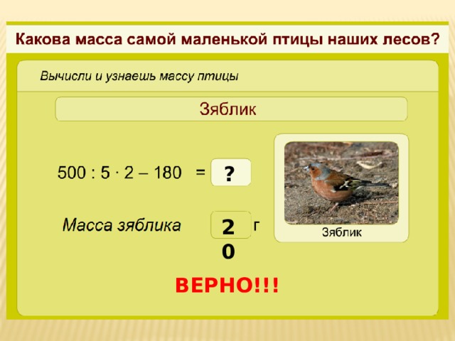 ? 20 ВЕРНО!!!  