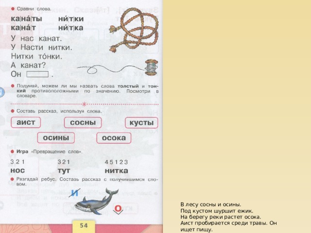В лесу сосны и осины. Под кустом шуршит ежик. На берегу реки растет осока. Аист пробирается среди травы. Он ищет пищу. 