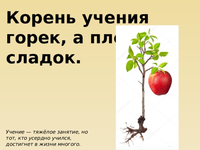 Корень учения горек, а плод сладок. Учение — тяжёлое занятие, но тот, кто усердно учился, достигнет в жизни многого. 