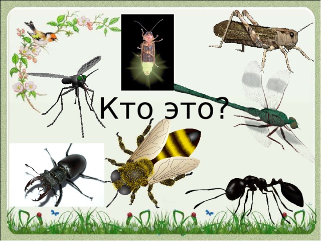Кто это? 
