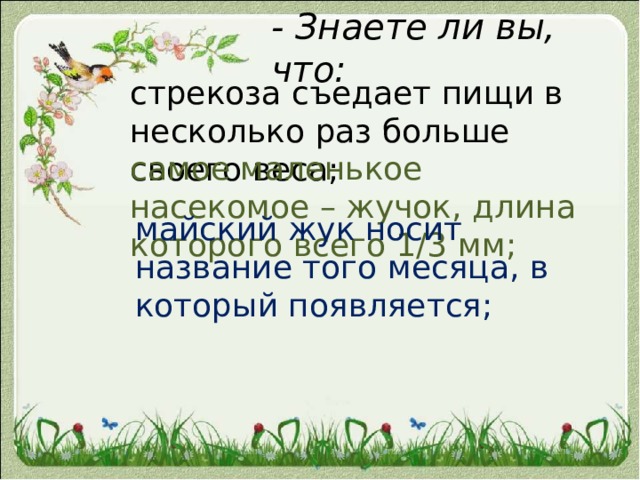 - Знаете ли вы, что: стрекоза съедает пищи в несколько раз больше своего веса; самое маленькое насекомое – жучок, длина которого всего 1/3 мм; майский жук носит название того месяца, в который появляется; 