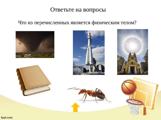 Ответьте на вопросы Что из перечисленных является физическим телом? 