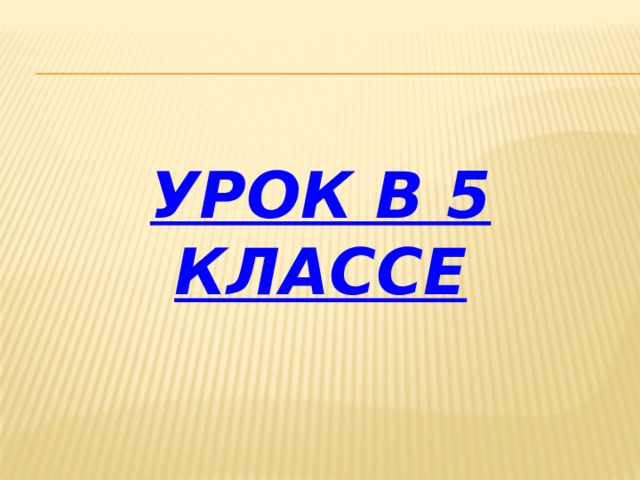 Урок в 5 классе 