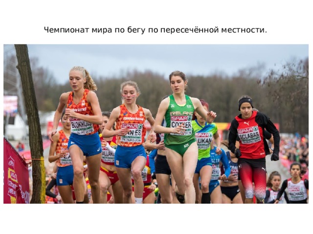Чемпионат мира по бегу по пересечённой местности. 