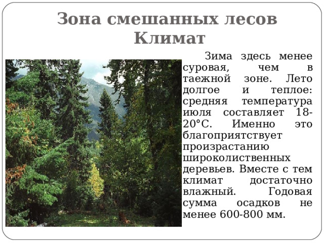 Зона смешанных лесов  Климат  Зима здесь менее суровая, чем в таежной зоне. Лето долгое и теплое: средняя температура июля составляет 18-20°С. Именно это благоприятствует произрастанию широколиственных деревьев. Вместе с тем климат достаточно влажный. Годовая сумма осадков не менее 600-800 мм. 