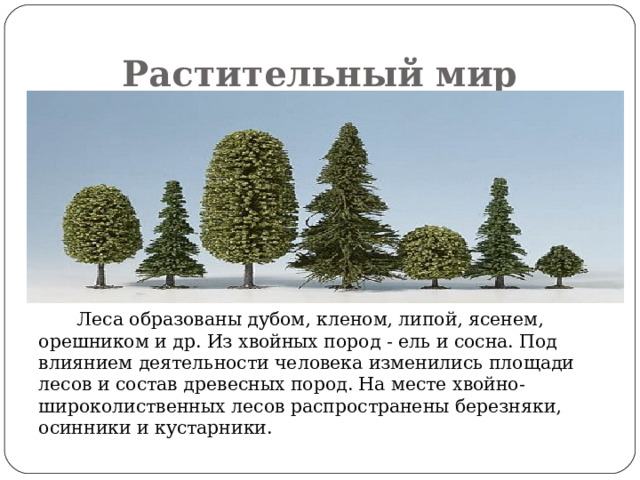 Растительный мир  Леса образованы дубом, кленом, липой, ясенем, орешником и др. Из хвойных пород - ель и сосна. Под влиянием деятельности человека изменились площади лесов и состав древесных пород. На месте хвойно-широколиственных лесов распространены березняки, осинники и кустарники. 
