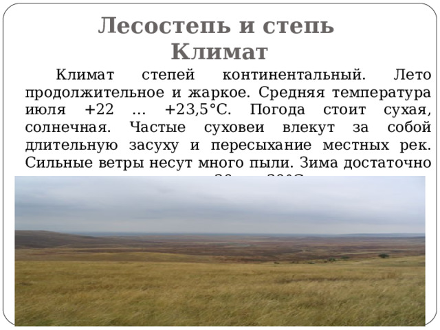 Лесостепь и степь  Климат  Климат степей континентальный. Лето продолжительное и жаркое. Средняя температура июля +22 ... +23,5°С. Погода стоит сухая, солнечная. Частые суховеи влекут за собой длительную засуху и пересыхание местных рек. Сильные ветры несут много пыли. Зима достаточно холодная, с морозами —20... —30°С. 