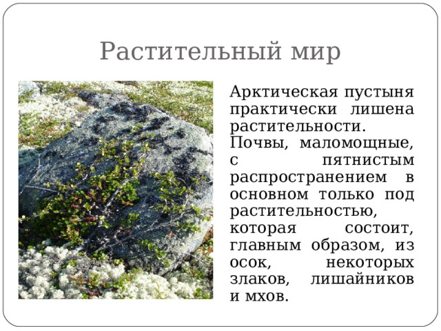 Растительный мир  Арктическая пустыня практически лишена растительности. Почвы, маломощные, с пятнистым распространением в основном только под растительностью, которая состоит, главным образом, из осок, некоторых злаков, лишайников и мхов. 