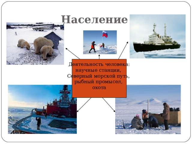 Население  Деятельность человека: научные станции, Северный морской путь, рыбный промысел, охота 