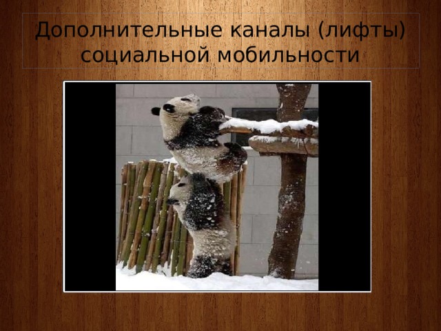 Дополнительные каналы (лифты) социальной мобильности 