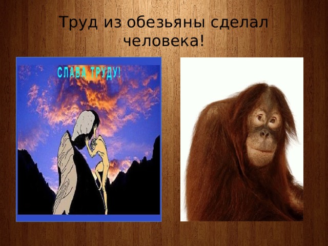Труд из обезьяны сделал человека! 