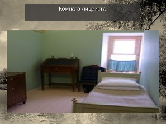 Комната лицеиста 