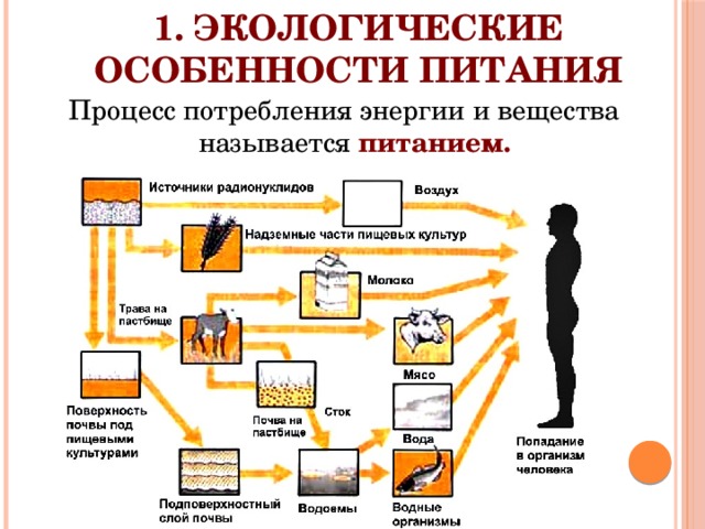 1. ЭКОЛОГИЧЕСКИЕ ОСОБЕННОСТИ ПИТАНИЯ Процесс потребления энергии и вещества называется питанием. 