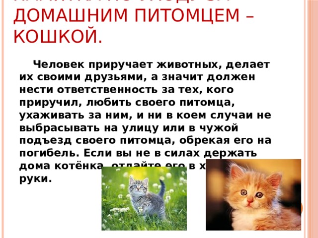 Памятка по уходу за домашним питомцем – кошкой.    Человек приручает животных, делает их своими друзьями, а значит должен нести ответственность за тех, кого приручил, любить своего питомца, ухаживать за ним, и ни в коем случаи не выбрасывать на улицу или в чужой подъезд своего питомца, обрекая его на погибель. Если вы не в силах держать дома котёнка, отдайте его в хорошие руки. 