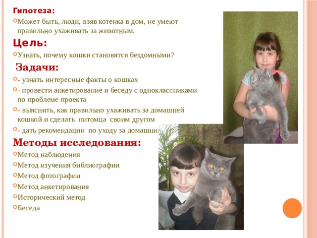 Гипотеза: Может быть, люди, взяв котенка в дом, не умеют правильно ухаживать за животным. Цель: Узнать, почему кошки становятся бездомными?  Задачи:  - узнать интересные факты о кошках - провести анкетирование и беседу с одноклассниками по проблеме проекта - выяснить, как правильно ухаживать за домашней кошкой и сделать питомца своим другом - дать рекомендации по уходу за домашним питомцем Методы исследования: Метод наблюдения Метод изучения библиографии Метод фотографии Метод анкетирования Исторический метод Беседа 