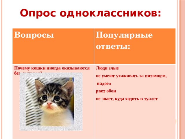 Опрос одноклассников: Вопросы  Популярные ответы: Почему кошки иногда оказываются бездомными?   Люди злые не умеют ухаживать за питомцем,  надоел рвет обои не знает, куда ходить в туалет   