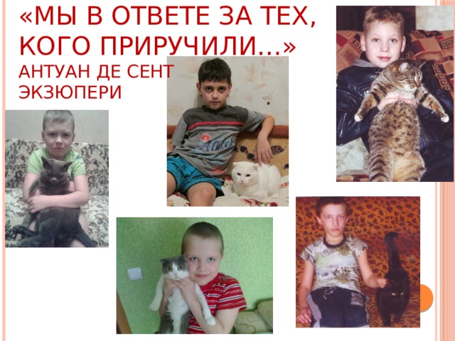 «Мы в ответе за тех, кого приручили…»  Антуан де Сент  Экзюпери   