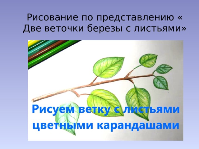 Рисование по представлению « Две веточки березы с листьями» 