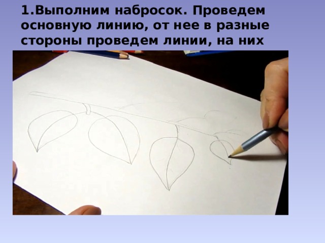 1.Выполним набросок. Проведем основную линию, от нее в разные стороны проведем линии, на них держатся листики. 