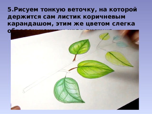 5.Рисуем тонкую веточку, на которой держится сам листик коричневым карандашом, этим же цветом слегка обведем центр и края листика. 