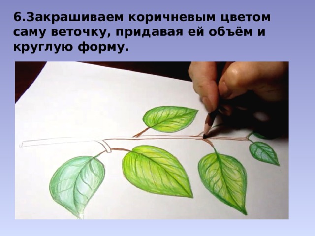 6.Закрашиваем коричневым цветом саму веточку, придавая ей объём и круглую форму. 