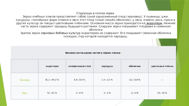 Структура и состав зерна  Зерно хлебных злаков представляет собой сухой односемянный плод (зерновку). У пшеницы, ржи, кукурузы, голозёрных форм ячменя и овса этот плод голый (лишён оболочек), у овса, ячменя, риса, проса и других культур он покрыт цветковыми плёнками. Основная масса зерна приходится на   эндосперм . Нижняя часть зерна содержит зародыш будущего растения. Снаружи зерно покрывают плодовая и семенная оболочки Зрелое зерно   зерновых бобовых культур   эндосперма не содержит. Его покрывает семенная оболочка (кожура), под которой находится зародыш. Весовое соотношение частей в зёрнах злаков [1] эндосперм 81,1—84,2 % алейроновый слой 6,8—8,6 % зародыш 51—61 % оболочки 1,4—3,2 % 4—6 % 3,1—5,6 % цветковые плёнки 3—4 % — 2—4 % 20—40 % 