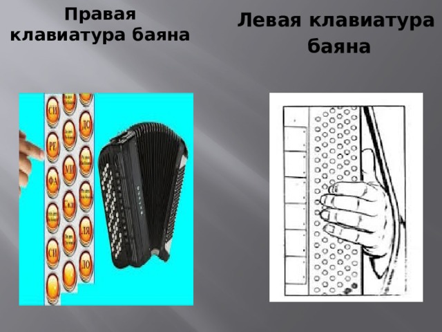 Правая клавиатура баяна Левая клавиатура  баяна 