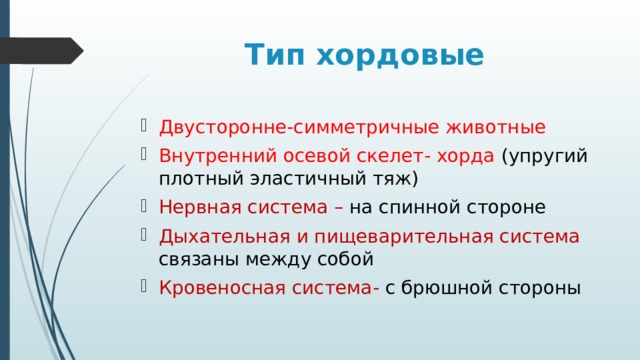 Тип хордовые Двусторонне-симметричные животные Внутренний осевой скелет- хорда (упругий плотный эластичный тяж) Нервная система – на спинной стороне Дыхательная и пищеварительная система связаны между собой Кровеносная система- с брюшной стороны 
