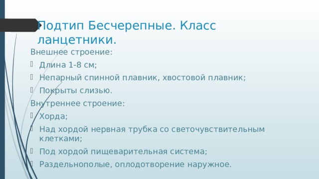 Подтип Бесчерепные. Класс ланцетники. Внешнее строение: Длина 1-8 см; Непарный спинной плавник, хвостовой плавник; Покрыты слизью. Внутреннее строение: Хорда; Над хордой нервная трубка со светочувствительным клетками; Под хордой пищеварительная система; Раздельнополые, оплодотворение наружное. 