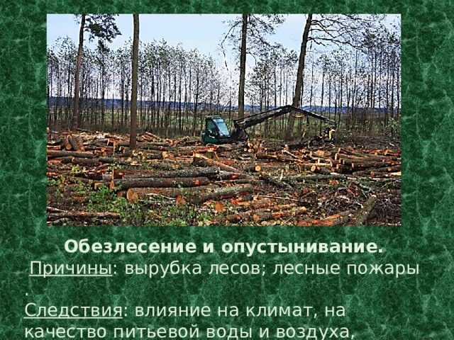 Обезлесение и опустынивание.  Причины : вырубка лесов; лесные пожары . Следствия : влияние на климат, на качество питьевой воды и воздуха, уничтожение животных видов. 