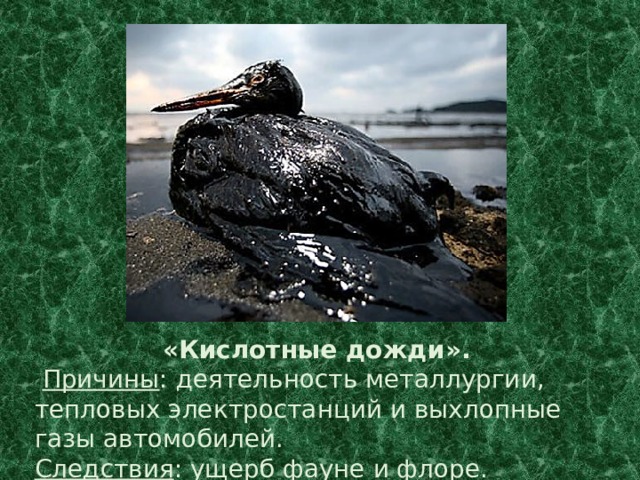 «Кислотные дожди».  Причины : деятельность металлургии, тепловых электростанций и выхлопные газы автомобилей. Следствия : ущерб фауне и флоре. 