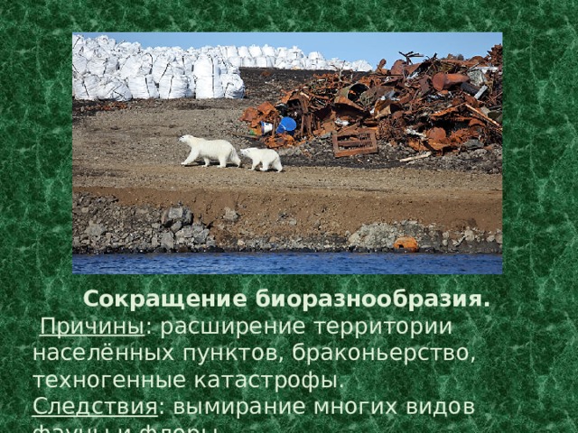 Сокращение биоразнообразия.  Причины : расширение территории населённых пунктов, браконьерство, техногенные катастрофы. Следствия : вымирание многих видов фауны и флоры. 