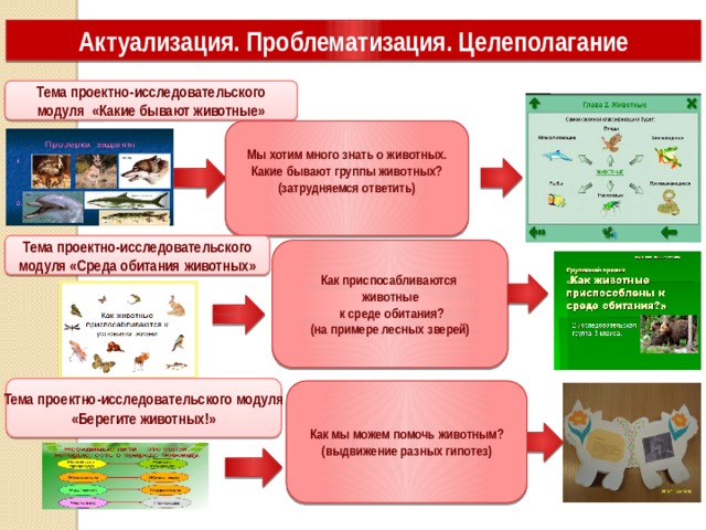 Актуализация. Проблематизация. Целеполагание Тема проектно-исследовательского модуля «Какие бывают животные» Мы хотим много знать о животных. Какие бывают группы животных? (затрудняемся ответить)  Тема проектно-исследовательского модуля «Среда обитания животных» Как приспосабливаются животные  к среде обитания? (на примере лесных зверей) Тема проектно-исследовательского модуля «Берегите животных!» Как мы можем помочь животным? (выдвижение разных гипотез) 