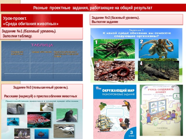 Разные проектные задания, работающие на общий результат Урок-проект. Задание №2 (базовый уровень). «Среда обитания животных» Выполни задание Задание №1 (базовый уровень).  Заполни таблицу.  Задание №3 (повышенный уровень).  Расскажи (нарисуй) о приспособлении животных  к водной среде  