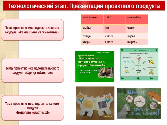 Технологический этап. Презентация проектного продукта насекомое рыбы 6 ног птицы «насечки» нет чешуя 2 ноги звери перья 4 ноги шерсть Тема проектно-исследовательского модуля «Какие бывают животные» Тема проектно-исследовательского модуля «Среда обитания» Тема проектно-исследовательского модуля «Берегите животных!» 